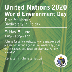 "UN 2020 World Environment Day"